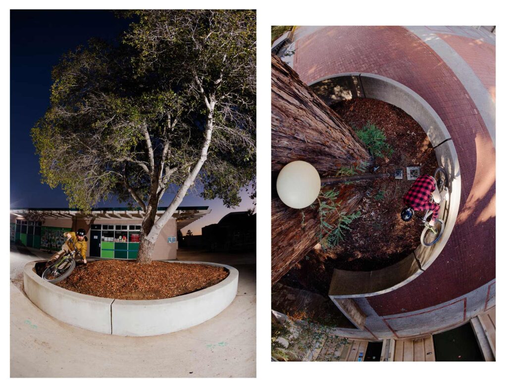 Diptych of mountain biker riding ledge of large planter bed with tree in center