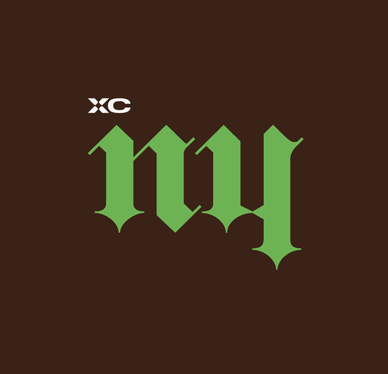 XC New York: Winter